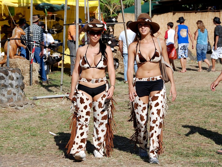10.49- Belle paire de vaches.JPG